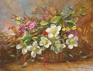 Winter Flora in a Woodland Shade